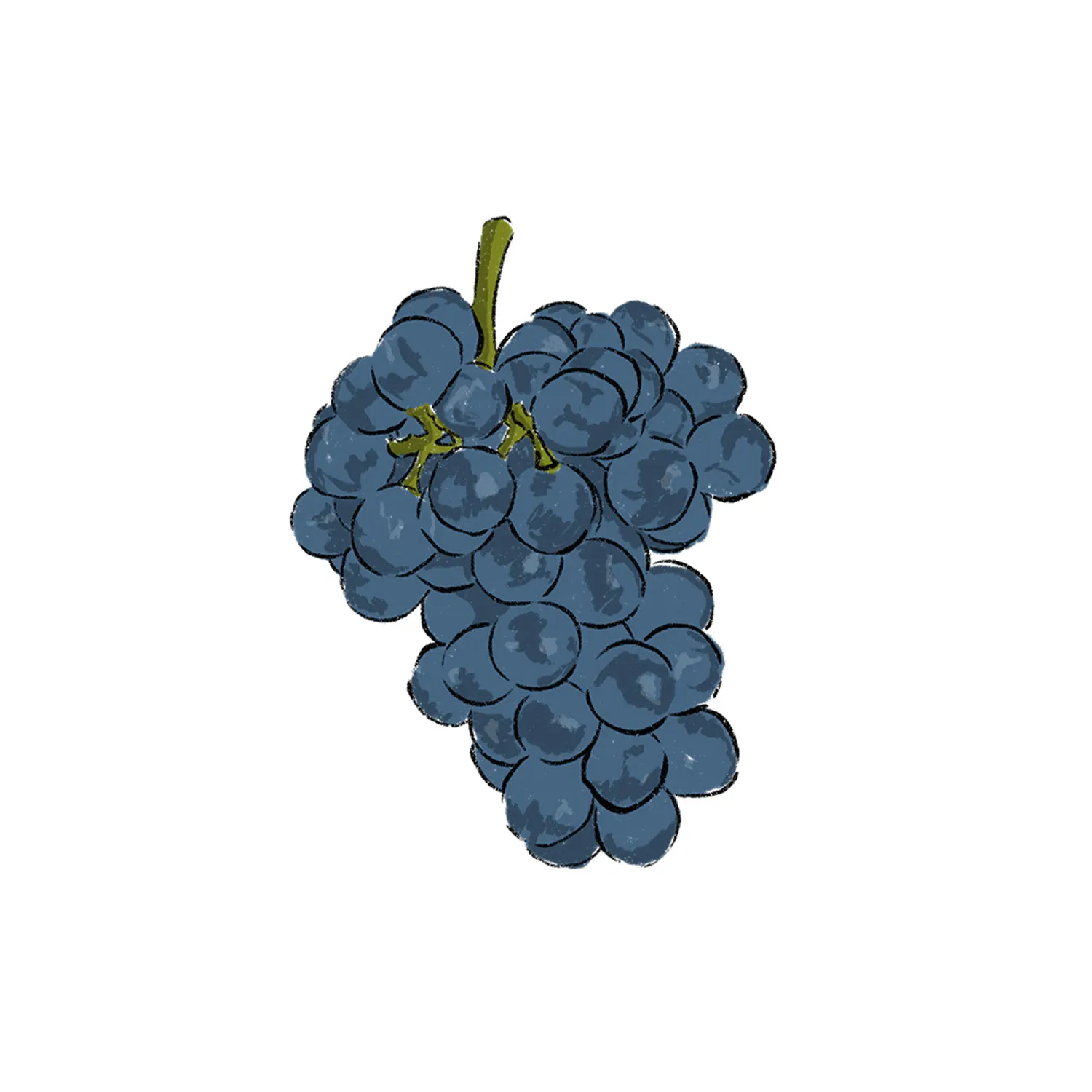 07_25_Martzavi_Grape_INSET_WE_1500x1500 07_25_Martzavi_Grape_INSET_WE_1500x1500