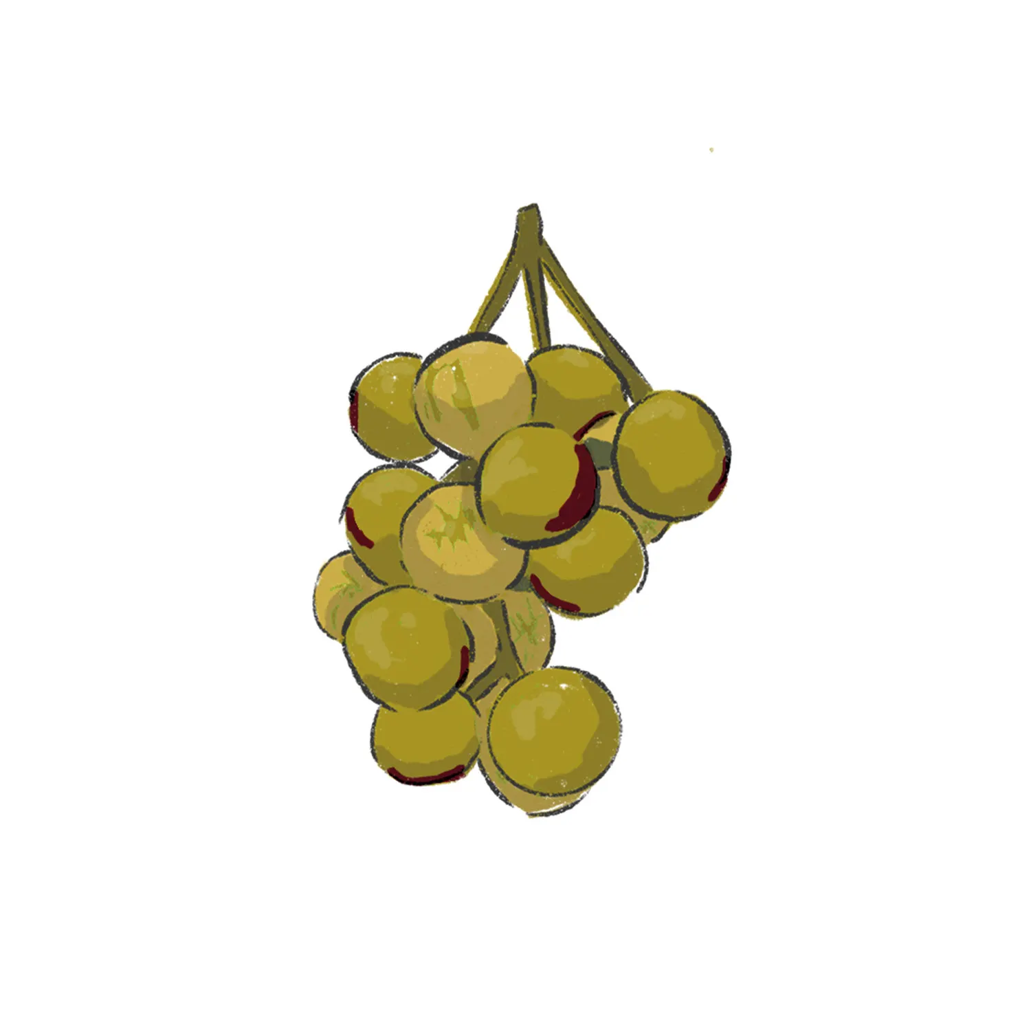 07_25_Petrokoritho_Grape_INSET_WE_1500x1500 07_25_Petrokoritho_Grape_INSET_WE_1500x1500