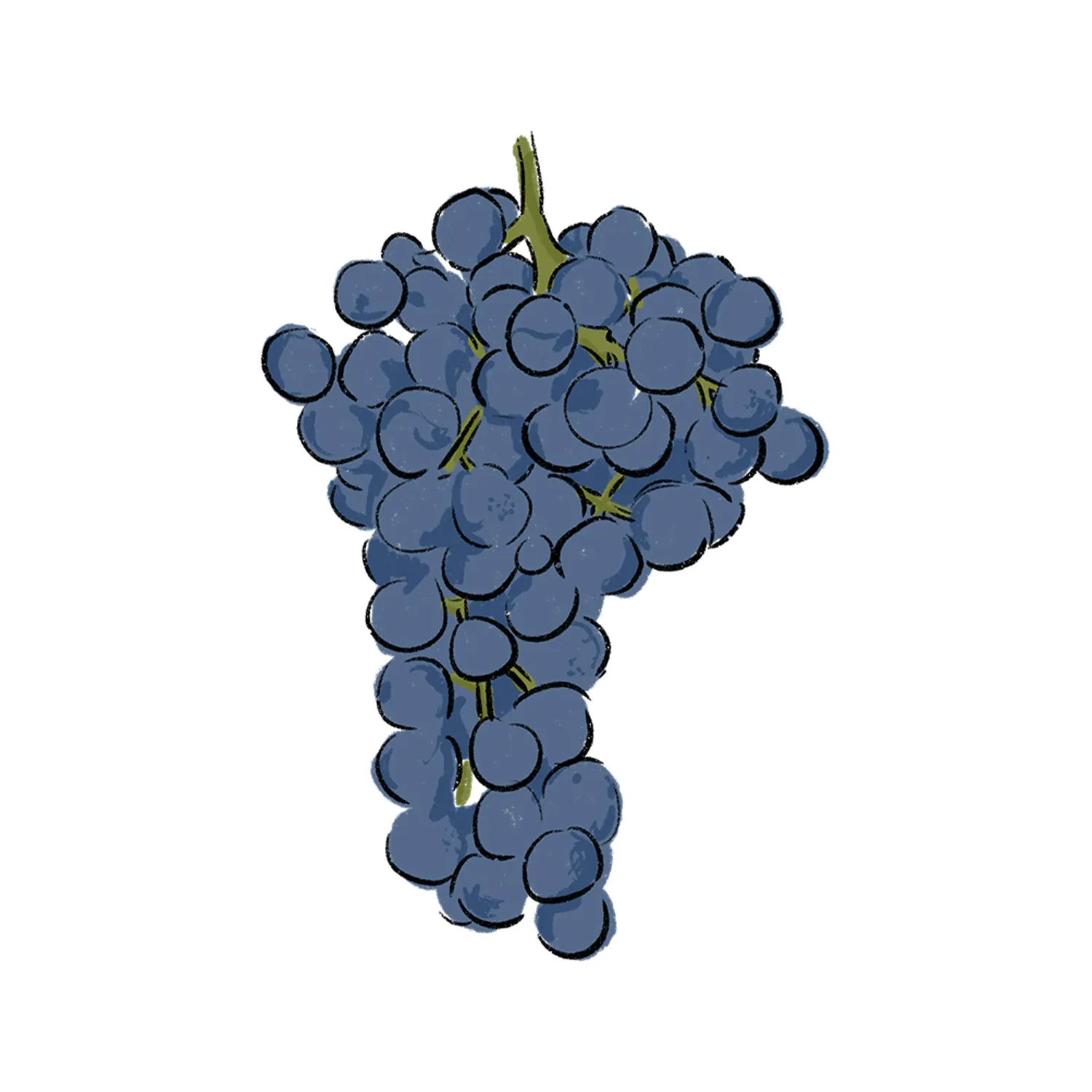 07_25_Skopelitiko_Grape_INSET_WE_1500x1500 07_25_Skopelitiko_Grape_INSET_WE_1500x1500